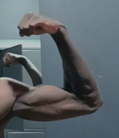 Profil de Abdel-rahmane, 30 ans, Cruising gay à Havelock (Québec)